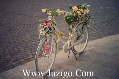 ​端午节的祝福微信端午节的祝福语句微信(精选44句)