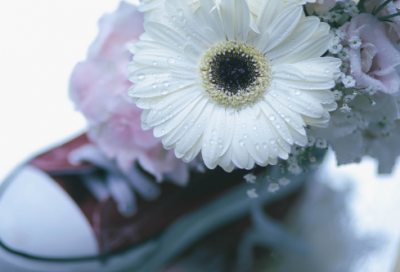 ​重阳节祝福短句（精选30句）