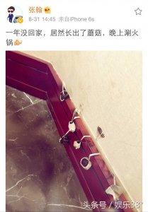 ​张翰调侃自家长出蘑菇,深圳公安神回复,网友：调皮的警察叔叔!