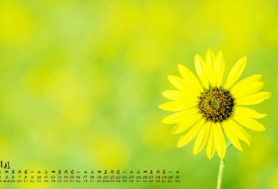 简洁的元宵祝福语50句