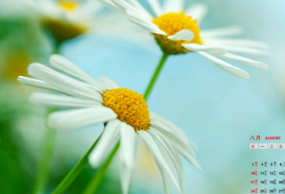 教师节爱心贺卡怎么写祝福语