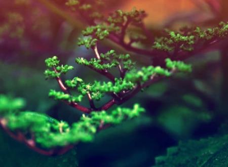 带晏有寓意的名字