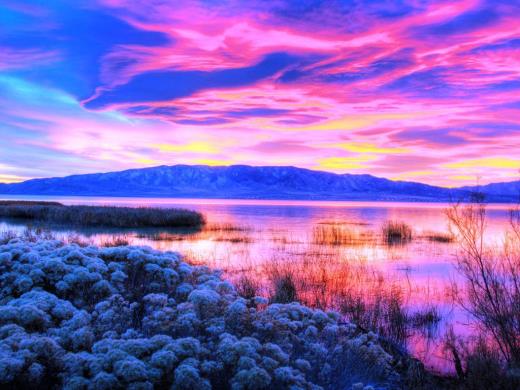 60岁生日祝福语