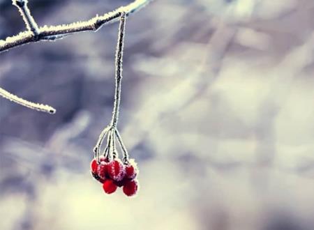 2字清冷孤傲古风名字