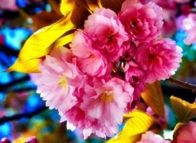 ​70岁老人简单一点的微信网名