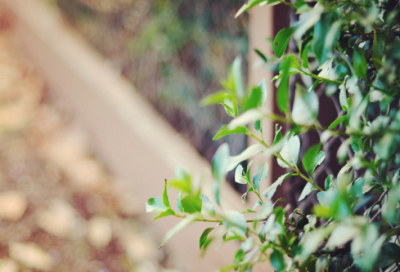 ​经典圣诞节快乐祝福朋友圈文案（通用30句）