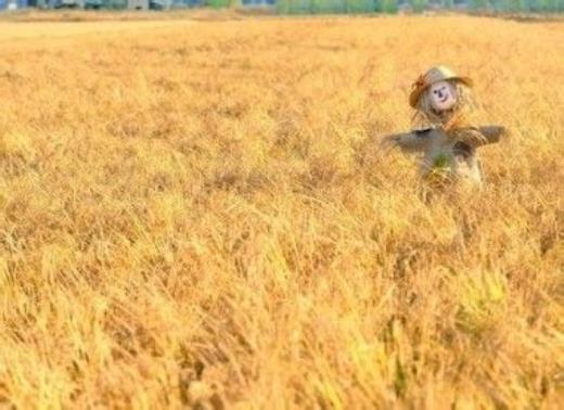 领导春节给客户的祝福语