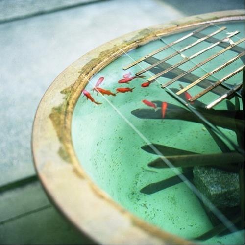 领导春节给客户的祝福语