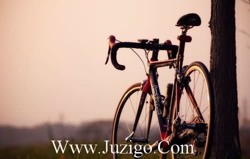 新年祝福语:福星高照