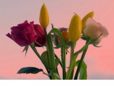 ​生日祝福短信送给客户 五一短信祝福语发客户