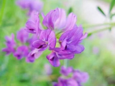 ​晚安简短一句话10字(撩人又暖心的晚安)