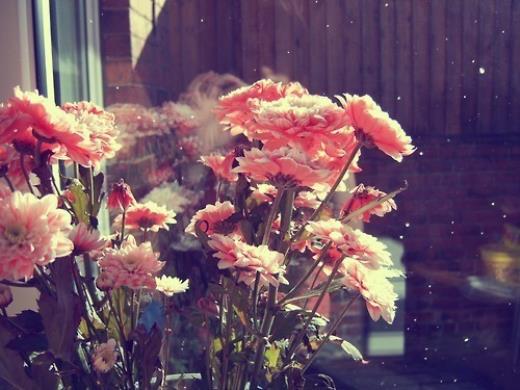 搞笑霸气生日祝福话语