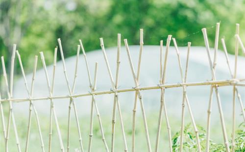 搞笑霸气生日祝福话语