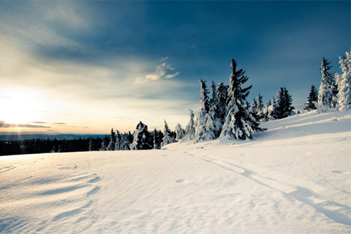 对即将进入小学的孩子的祝福语(33句)