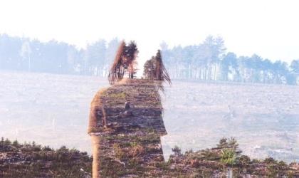 给大学毕业生的祝福语简短