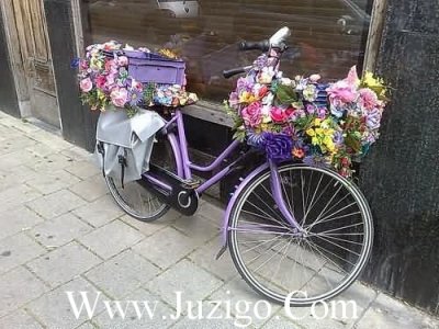 傣族泼水节祝福语(精选26句)