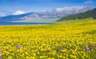 宝宝百岁祝福语简短（小孩满100天祝福语）
