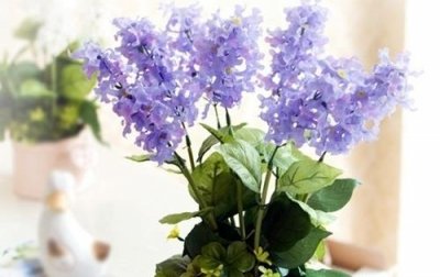 ​感恩爸爸的句子简短 祝您节日快乐身体康健(26句)