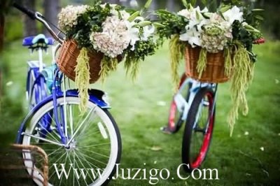 ​宝宝一岁相册祝福语宝宝一岁祝福语(精选35句)