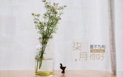 ​军训寄语一句话小清新 一句话毁掉小清新系列