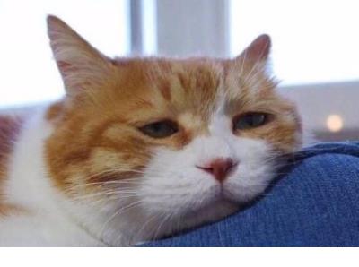 新婚快乐祝福语红包