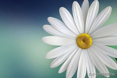 ​2024全国二本大学排名一览表 最新院校排行榜