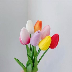 ​祝福前程似锦的唯美句子（温暖又别致的祝福文案）