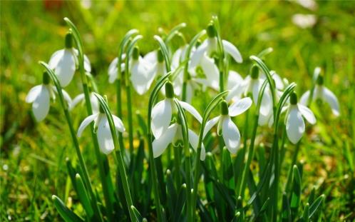 中秋给父母的祝福语