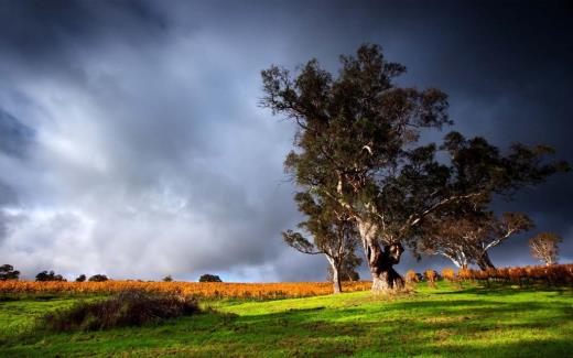 新年短信祝福语大全简短