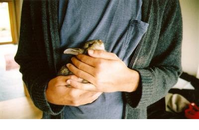 搞笑教师节微信祝福语大全