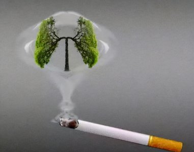 ​正常人一天最多可以抽多少支烟？医生：控制在“这个数”，还算行