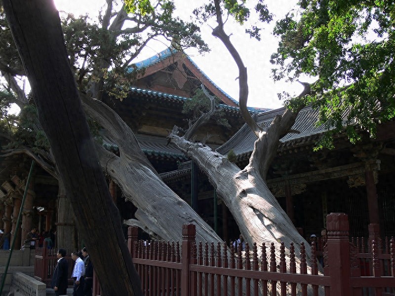全国重点文物保护单位（山西篇）：晋祠