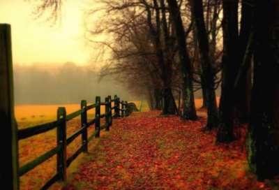 ​好听炫酷的qq炫舞个性名字_丿小伙☆傷不起