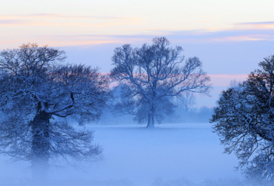 ​wow德鲁伊名字大全