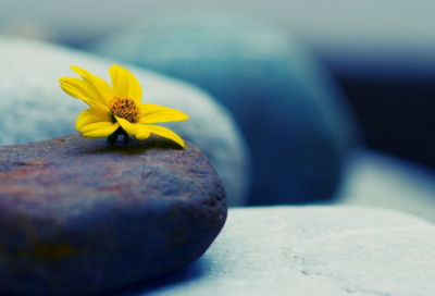 ​神武手游个性名字大全_狂刄星空