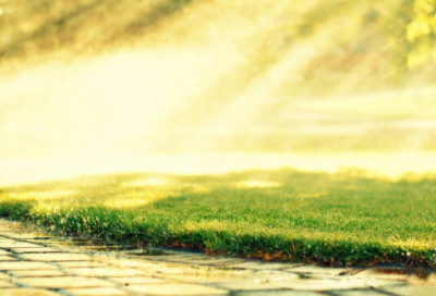 ​龙之影游戏名字大全