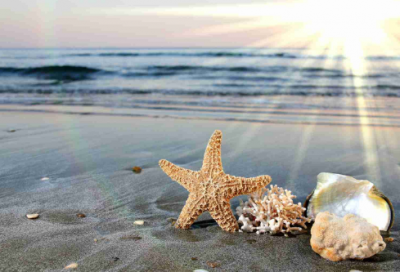 ​猎手之王好听的游戏名字_风逝夜