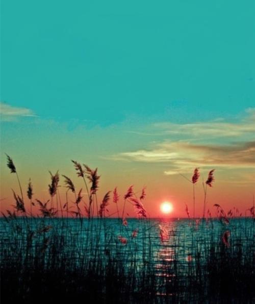 晚安语录温馨简短