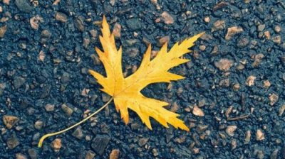 ​本年祝福本年贺词（本年拜年祝福语四个字）