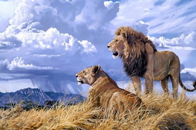 ​邮件圣诞祝福语英文英文圣诞祝福邮件(46句)