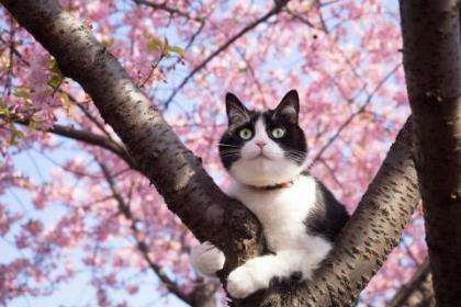 祝福结婚十年的祝福语