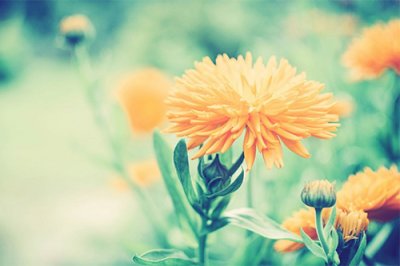 ​下大雨天问候短信给客户(15句)