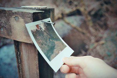 ​最经典的芒种节气祝福语大全