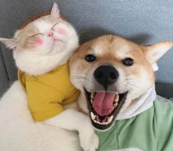 ​描写处暑节气的优美句子(精选45句)