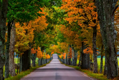 ​学员考试经典励志的祝福词(精选46句)