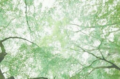 ​给爸爸的父亲节微信祝福语(父亲节祝福语简短独特)