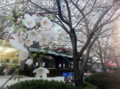 ​祝生日快乐祝福语[18条] (生日祝福语简短精辟)