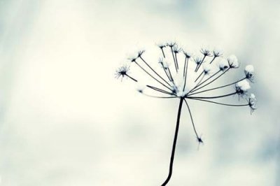 ​春节啥时候发问候短信(15句)