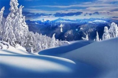 ​结婚40周年祝福语 4个字结婚祝福语