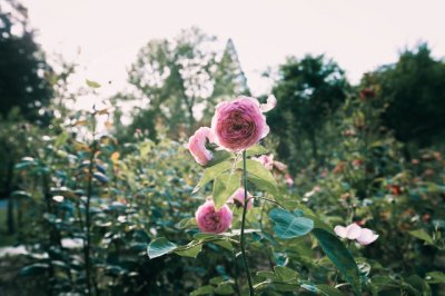 ​教师节对老师说的一句祝福 教师节说几句祝福老师的话